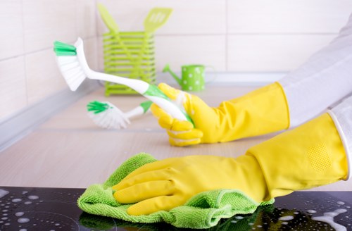 Professional carpet cleaner working carefully in a property