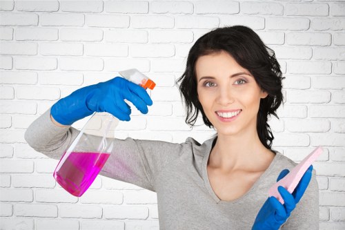 Image representing inclusive Barkingside carpet cleaners website access