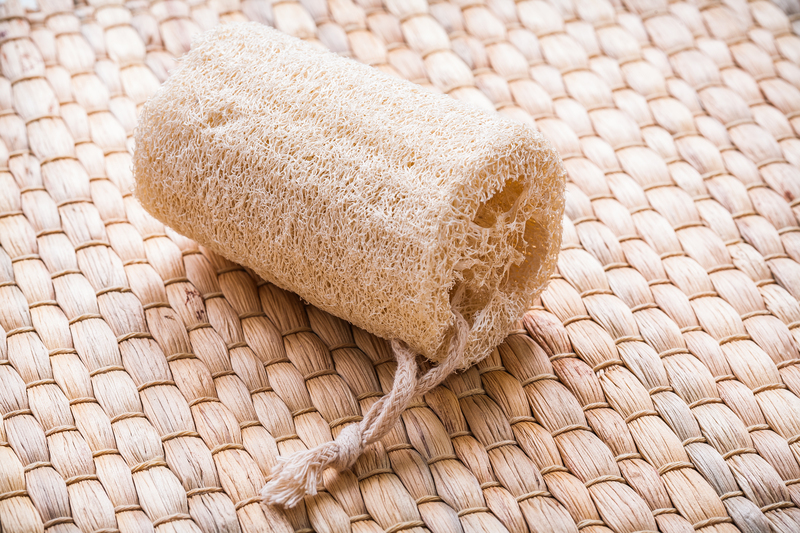 carpet cleaning carpet cleaners